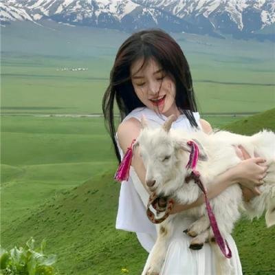 砂糖的幸福生活