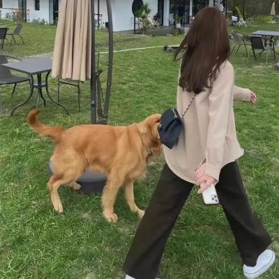 阿松第三季